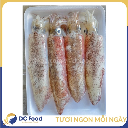 Mực Ống size 6-10con/kg